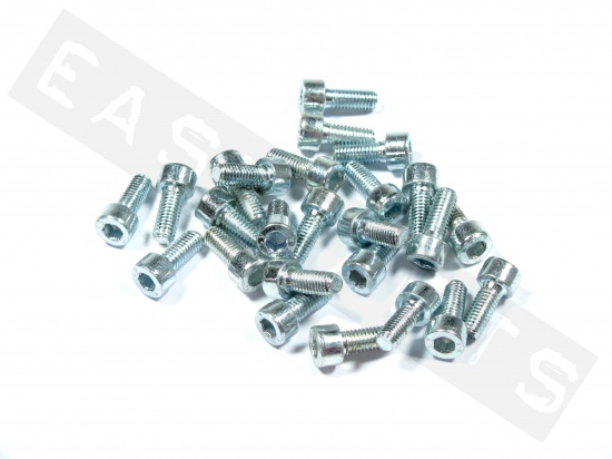 Bullone CHC M5x10 acciaio zincato (25 pezzi)