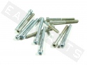 Tornillo CHC ISO 4762 M5x40 acero galvanizado (contiene 12)