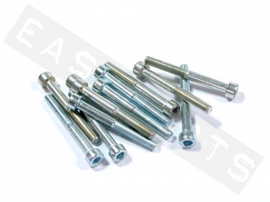 Socket head bolt M5x45 (0.80) galvanized steel (25 pcs)