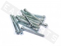 Tornillo CHC ISO 4762 M5x50 acero galvanizado (contiene 12)