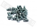 Tornillo CHC ISO 4762 M6x10 acero galvanizado (contiene 25)