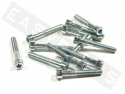 Innensechskantschrauben ISO 4762 M6x40 Stahl verzinkt (12 Stk.)