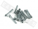 Innensechskantschrauben ISO 4762 M6x45 Stahl verzinkt (12 Stk.)