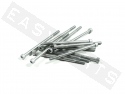 Tornillo CHC ISO 4762 M6x100 acero galvanizado (contiene 12)
