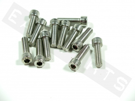 Socket head bolt M7x25 (1.00) galvanized steel (12 pcs)