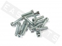 Crankcase Bolt Kit Steel Silver Peugeot Vertical (10 pieces)