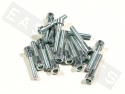 Crankcase Bolt Kit Steel Silver Piaggio/ Gilera (16 pieces)