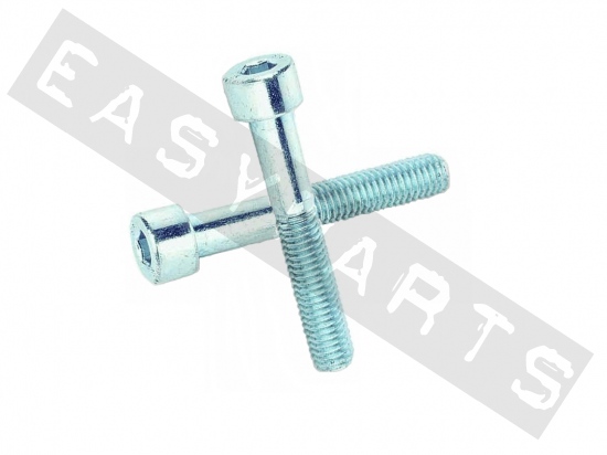 Socket head bolt M8x10 (1.25) galvanized steel (12 pcs)