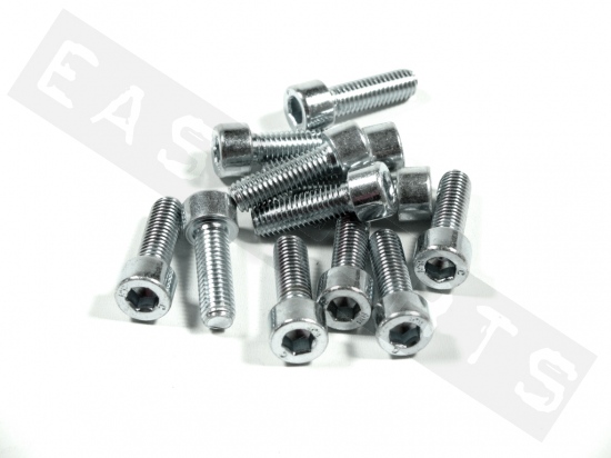 Socket head bolt M8x25 (1.25) galvanized steel (12 pcs)
