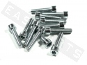 Tornillo CHC ISO 4762 M8x35 acero galvanizado (contiene 12)