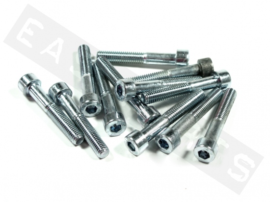 Socket head bolt M8x45 (1.25) galvanized steel (12 pcs)