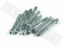 Tornillo CHC ISO 4762 M8x60 acero galvanizado (contiene 12)