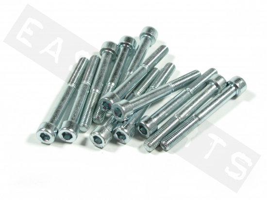 Socket head bolt M8x60 (1.25) galvanized steel (12 pcs)