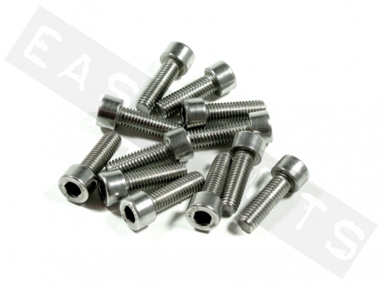 Socket head bolt M8x25 (1.25) stainless steel (12 pcs)