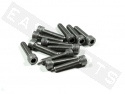 Tornillo CHC ISO 4762 M8x35 acero inoxidable (contiene 12)