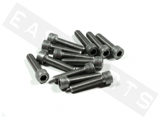 Socket head bolt M8x35 (1.25) stainless steel (12 pcs)