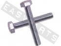 Tornillo hexagonal DIN 933 M4x10 acero galvanizado (contiene 50)