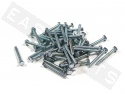 Tornillo hexagonal DIN 933 M4x35 acero galvanizado (contiene 50)