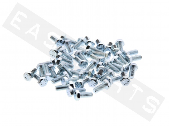 Tornillo hexagonal DIN 933 M5x12 acero galvanizado (contiene 50)