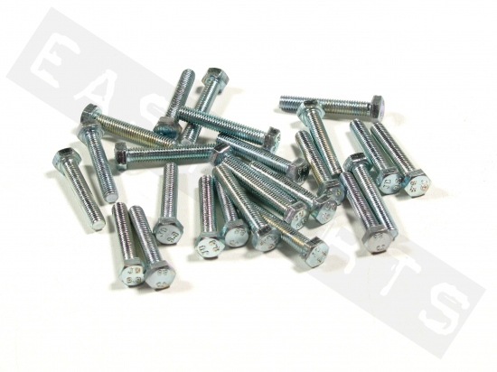 Hex head bolt M5x30 (0.80) galvanized steel (50 pcs)
