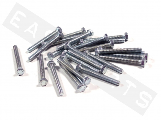 Hex head bolt M5x45 (0.80) galvanized steel (25 pcs)