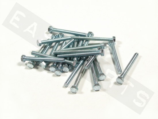 Hex head bolt M5x50 (0.80) galvanized steel (25 pcs)