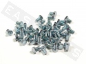 Tornillo hexagonal DIN 933 M6x10 acero galvanizado (contiene 50)