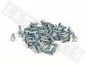 Tornillo hexagonal DIN 933 M6x16 acero galvanizado (contiene 50)