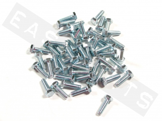 Bullone esagonale M6x20 acciaio zincato (50 pezzi)