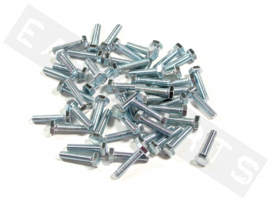 Hex head bolt M6x25 (1.00) galvanized steel (50 pcs)