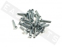 Tornillo hexagonal DIN 933 M6x30 acero galvanizado (contiene 25)