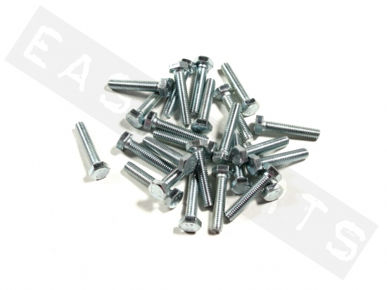Hex head bolt M6x30 (1.00) galvanized steel (25 pcs)