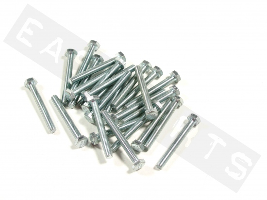 Hex head bolt M6x50 (1.00) galvanized steel (25 pcs)