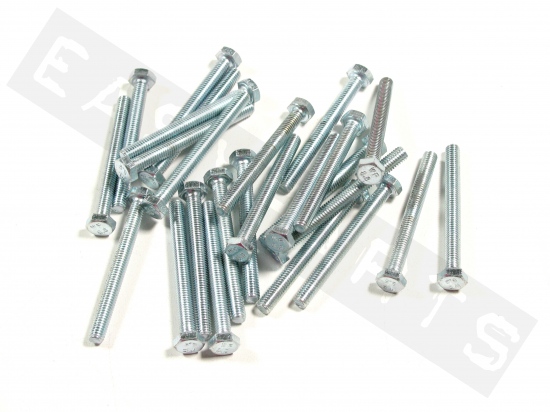 Bullone esagonale M6x60 acciaio zincato (25 pezzi)