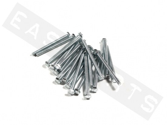 Bullone esagonale M6x70 acciaio zincato (25 pezzi)
