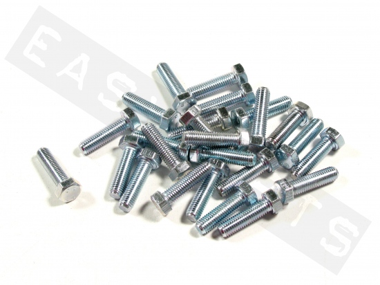 Bullone esagonale M7x25 (1.00) acciaio zincato (25 pezzi)