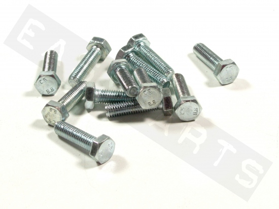 Hex head bolt M8x30 (1.25) galvanized steel (12 pcs)