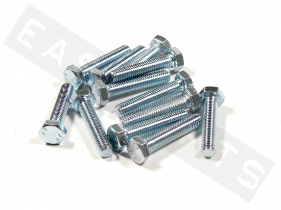 Bullone esagonale M8x40 acciaio zincato (12 pezzi)