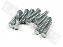 Hex Head Bolt M8x45 Galvanized Steel (12 pieces)