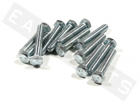 Hex head bolt M8x45 (1.25) galvanized steel (12 pcs)