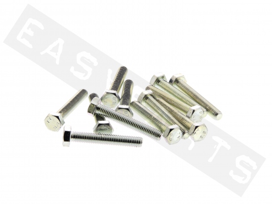 Hex head bolt M8x50 (1.25) galvanized steel (12 pcs)