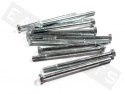 Hex Head Bolt M8x100 Galvanized Steel (12 pieces)