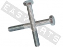 Tornillo hexagonal DIN 933 M10x16 acero galvanizado (contiene 12)