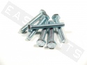 Tornillo hexagonal DIN 933 M10x70 acero galvanizado (contiene 6)