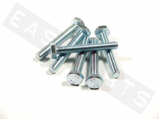 Hex head bolt M10x70 (1.50) galvanized steel (6 pcs)