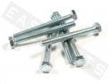 Bout zeskant M10x100 (1.50) verzinkt staal (6 stuks)