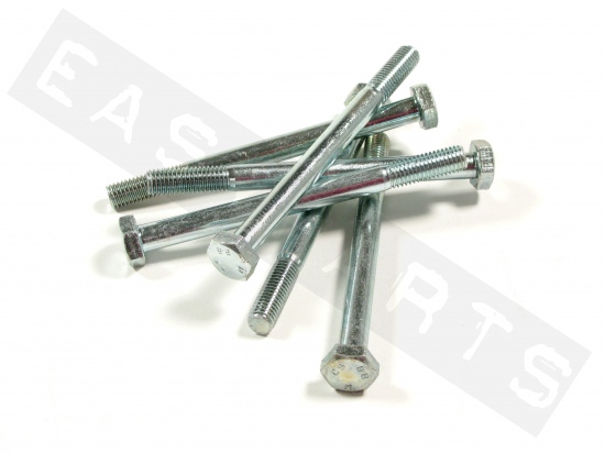 Hex head bolt M10x120 (1.50) galvanized steel (6 pcs)