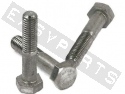 Hex Head Bolt M5x8 Stainless Steel (50 pieces)
