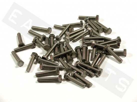 Hex head bolt M5x25 (0.80) stainless steel(50 pcs)
