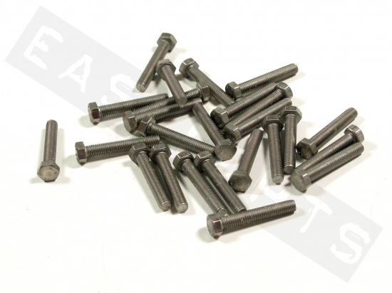 Hex head bolt M5x30 (0.80) stainless steel(25 pcs)
